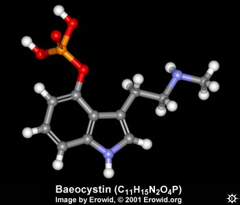 3D Baeocystin Molecule
