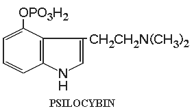 Mol�cule de Psilocybine